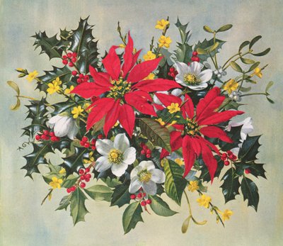 Christmas Flowers by Albert Williams